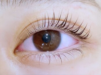 ステラ/まつげパーマ上下