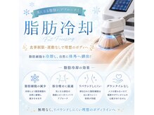 レア(le'a)の雰囲気（大人気の脂肪冷却！いらない。脂肪はトイレに流しましょう。）