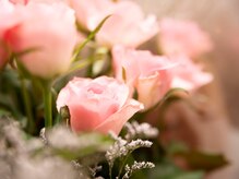 ヨサパークロータス(YOSA PARK Lotus)/店内