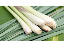 セン(SEN)/レモングラス