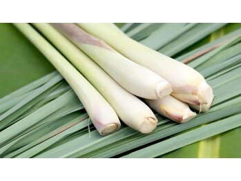 セン(SEN)/レモングラス