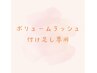付け足し専用◎ボリュームラッシュ６０束◎