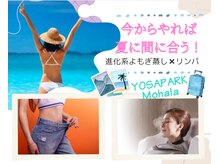 ヨサパーク モハラ 春日部店(YOSA PARK Mohala)