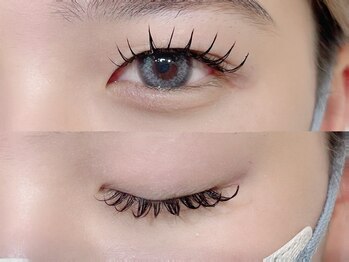 アイランド トーキョー(ISLAND TOKYO)/LEDマツエク120本