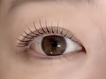 キト(QUITO)/ラッシュリフト