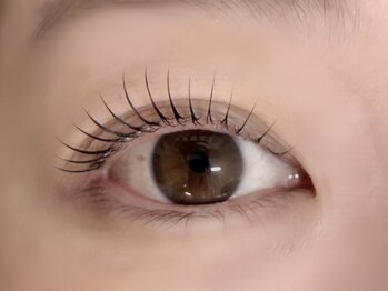 キト(QUITO)/ラッシュリフト