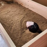 酵素浴 温凜