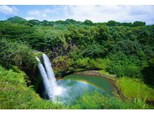 ハワイアンフォレストSpa 福岡天神店/ワイルア滝