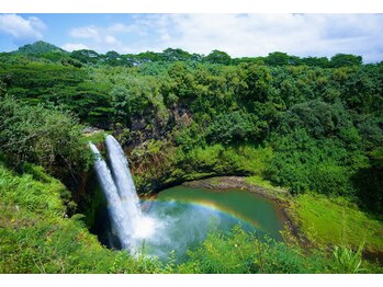 ハワイアンフォレストSpa 福岡天神店/ワイルア滝