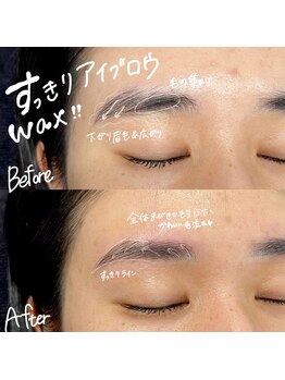 ハオルチア(Haworthia)/アイブロウWax