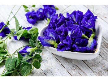 セン(SEN)/バタフライピー