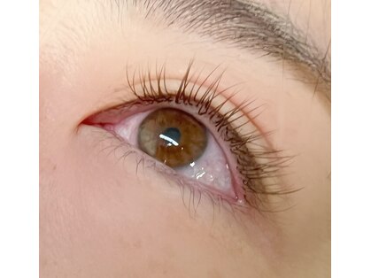 サンティエ(scintiller)の写真