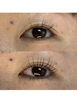 チェリッシュ 中川店(Cherish)/まつげパーマ