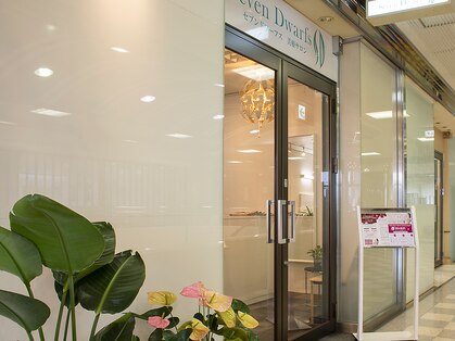 セブンドワーフス(Seven Dwarfs)の写真