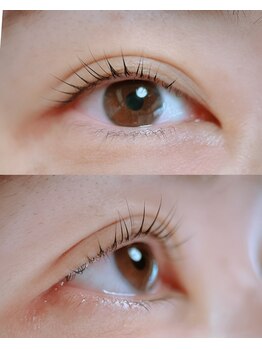 ポロカ(POLOKA)/ラッシュリフト