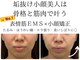エミマス ボーテ(Emimas Beaute’)の写真