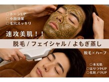 レヴール(reveur)