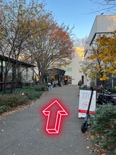 セドニー 代官山(CEDNEI)/～代官山蔦屋からのサロン経路～