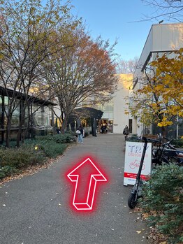 セドニー 代官山(CEDNEI)/～代官山蔦屋からのサロン経路～