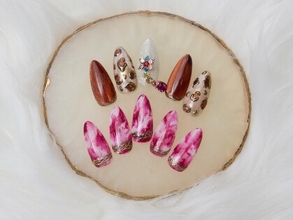 ダリア(Dahlia)の写真