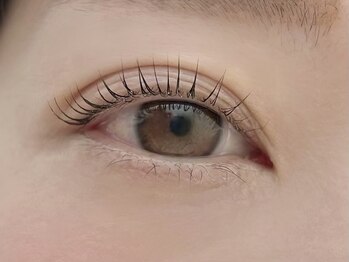 ラクス(Lacus)/まつげパーマ/まつパ