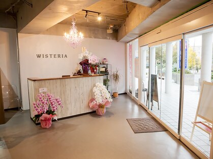 ウィステリア(Wisteria)の写真