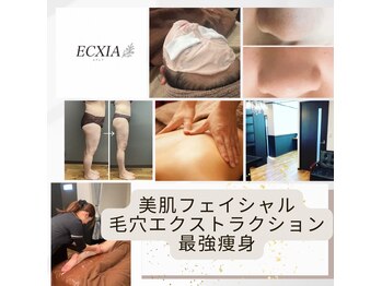 エクシア(ECXIA)