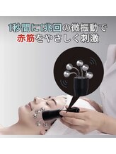 エクレクティック(ECLECTIC)/テラボーラー/小顔マシン