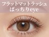 フラットラッシュ 【ぱっちり】120～140本 ¥6,400
