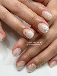 シェルマグネイル