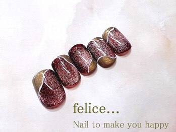 フェリーチェ 川間店(felice)/【定額ネイル】¥8480