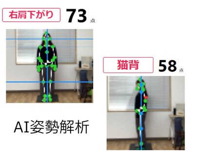 ティーシー(TC)の写真