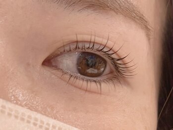 ブリッジバイネオリーブ 綱島店(bridge by neolive)/パリジェンヌラッシュリフト上下