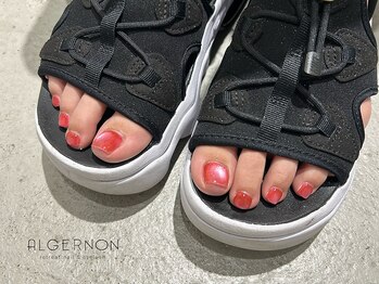 アルジャーノン リトリート(ALGERNON retreat)/ぷるマグ.・～*