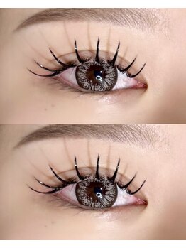 オーク 新潟(OAK)/圧倒的持続力★Wフラット120束