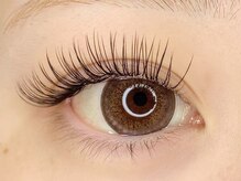 シェーヌ(CHAINE)/フラットセーブル 120本