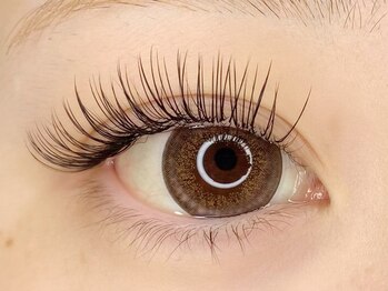 シェーヌ(CHAINE)/フラットセーブル 120本