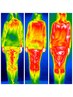 【BMI19以下痩せ体質で体力と体温を上げたい方】痩せ型冷え性改善コース体験