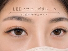 チック(chick)/LEDフラットボリューム80束