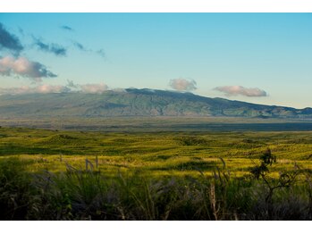 ハワイアンフォレストSpa 福岡天神店/コハラ山地