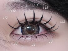 ビーナスベルト 池袋(VENUS BELT)/上下フラットラッシュ