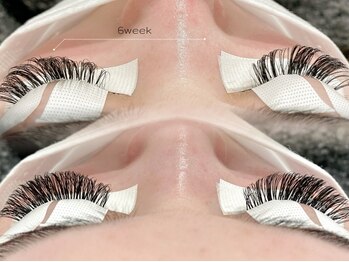 エクシア(EXCIA)の写真/【高持続・ボリュームUPの”メガフラットラッシュ”】軽くて柔らかい付け心地なのにメガ級のボリューム!