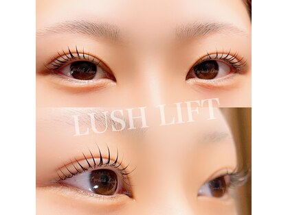 リノ(Lino)の写真