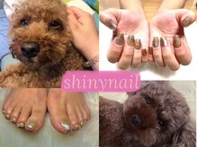 シャイニーネイル(Shiny nail)