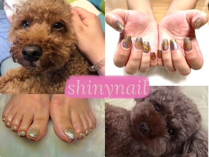 シャイニーネイル(Shiny nail)の写真