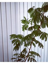 スラン(SEREIN)/内観