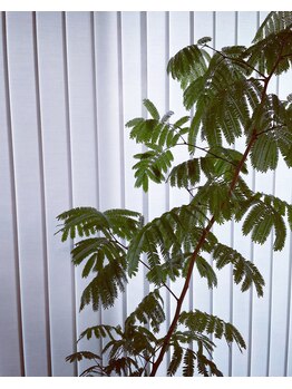 スラン(SEREIN)/内観