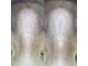 アモリアージュ(Amolliage)の写真