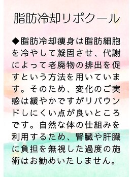 サロン ヴィーナス(VENUS)/脂肪冷却リポクールご案内１