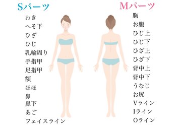 エレナビューティー(Elena Beauty)/最先端スピード脱毛